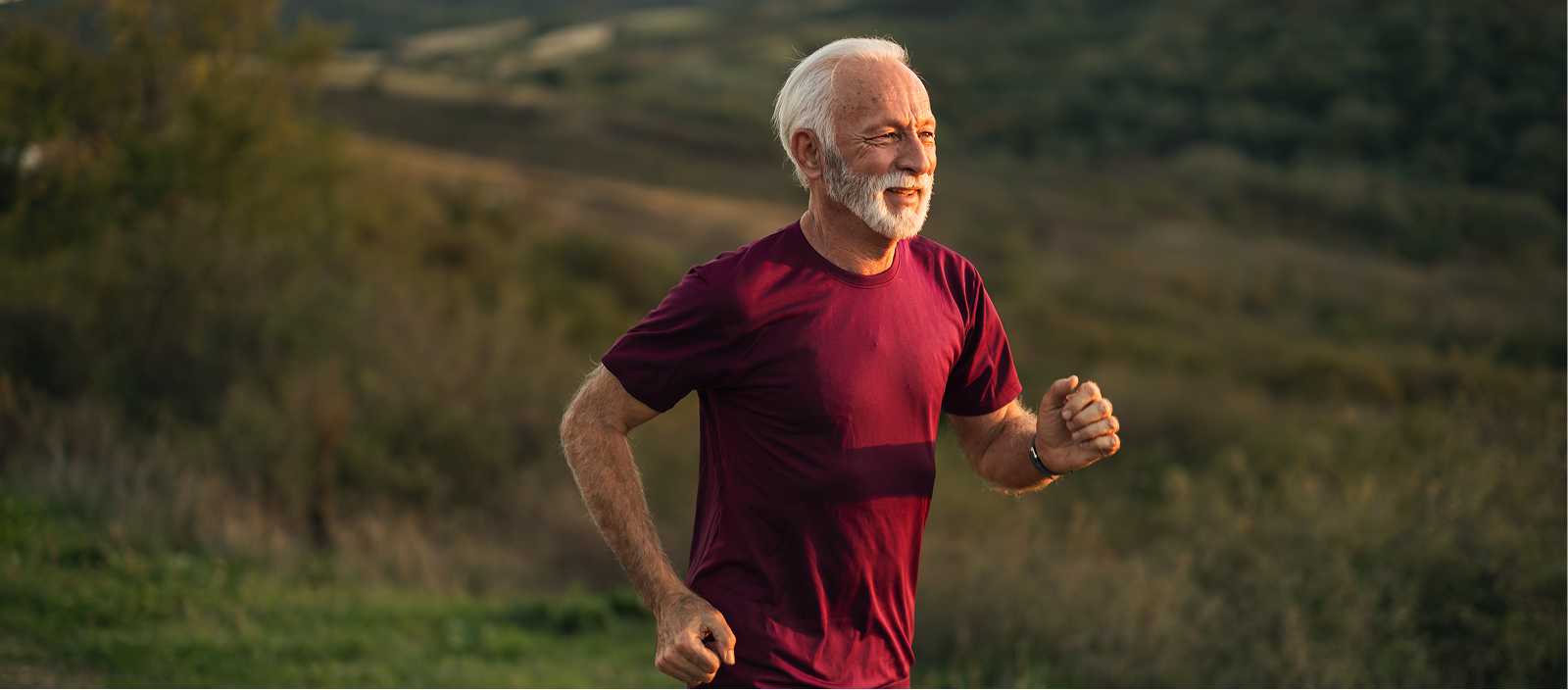 THCCanada-Vitamin-D-Cellular-Blog-02