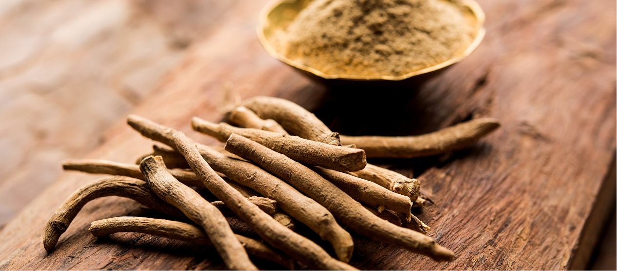 THC – Social Blog – Shoden Gets the Green Light 01 Ashwagandha plant and powder.